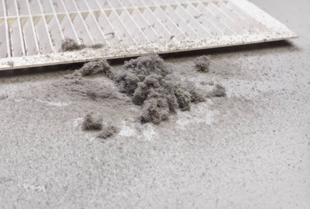 Best Duct Cleaning for Offices  in Alvin, TX