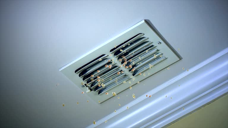 Best Ductwork Cleaning Services  in Alvin, TX