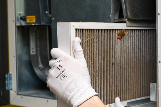 Best Commercial Air Duct Cleaning  in Alvin, TX