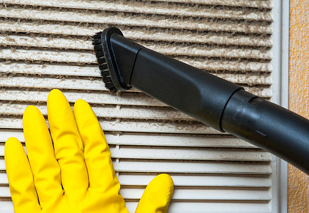 Best HVAC Duct Inspection Services  in Alvin, TX